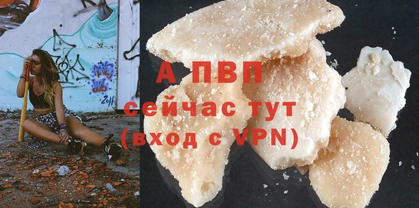 твердый Козельск