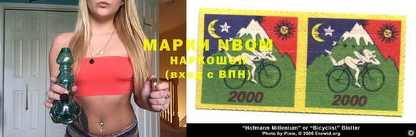 твердый Козельск