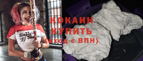 твердый Козельск