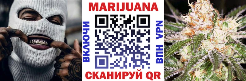 Купить где  Плавск  Конопля сатива 